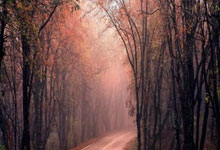 米乐：2024年北京自行车俱乐部联赛公路测试赛开赛.