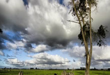 米乐：2024賽季中國足球超級聯賽積分榜.