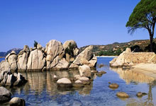 米乐：德媒：莱比锡红牛中锋谢什科更倾向加盟英超球队，曼联阿森纳有意签下他.